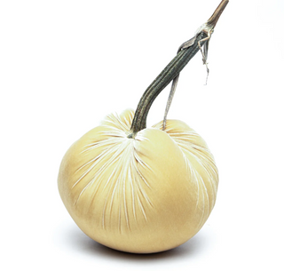 Husk Silk Velvet Pumpkin