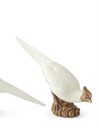 Cream and Copper Pheasants