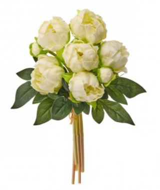 11" Peony Bundle