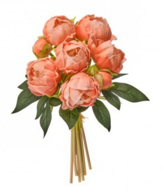 11" Peony Bundle