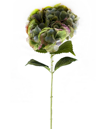 Mason Hydrangea Real Touch Equinox
