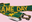 Green and Gold