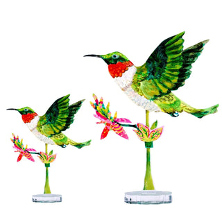 Hummingbird | LG Acrylic Floral