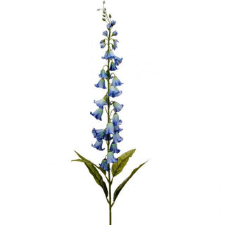 Campanula Spike