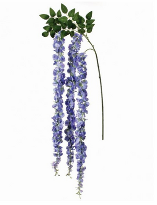 Grand Wisteria Branch