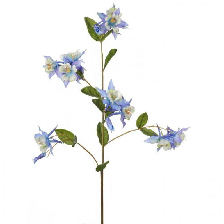 Columbine Spray