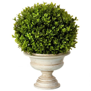 Spring Boxwood Ball in Urn