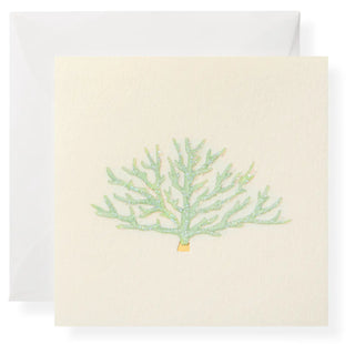 Blue Coral Individual Gift Enclosure