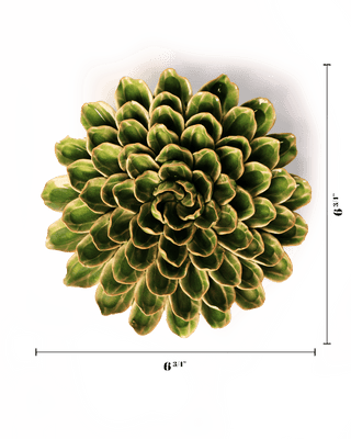Avocado Green Unicorn Zinnia - Flower Art, Boho Wall Decor