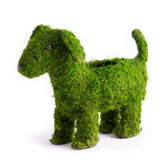 Deco Moss Animals, Puppy, 13in
