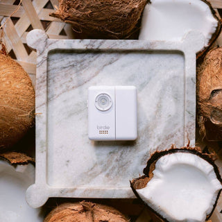 Birdie Box Alarm