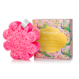 Art Chinois Sponges Assorted