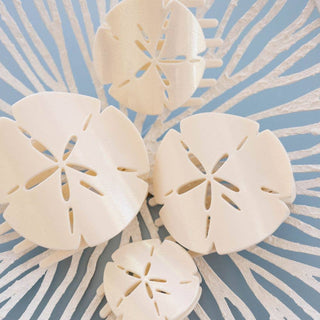 Sand Dollar Small Flat Shape Hair Clip