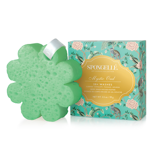 Art Chinois Sponges Assorted