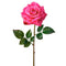 Fuschia