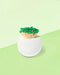 Green (Golf Ball)