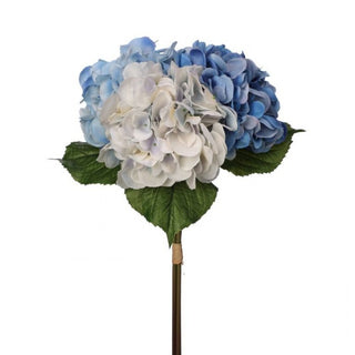 Blue White Just Cut Hydrangea Bundle