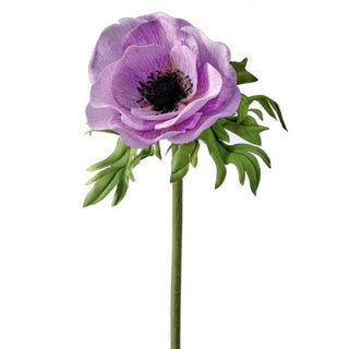 22" Just Cut Anemone