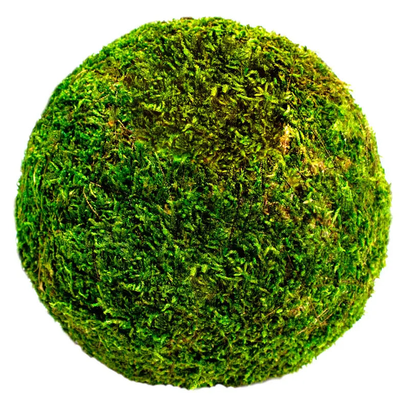 SuperMoss Moss Balls