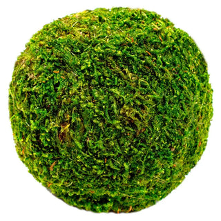 Moss Balls 4in