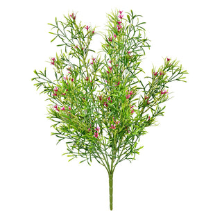 Pink Woodruff Bush UV