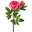 Rose Pink