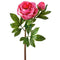Rose Pink
