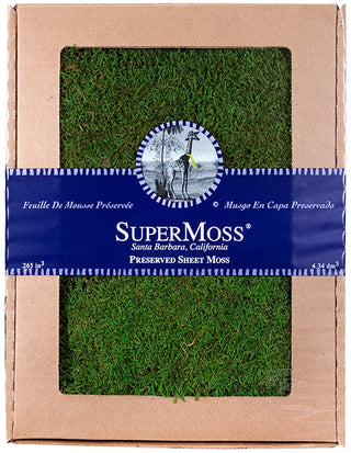 Sheet Moss Preserved 4oz