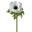 White Green