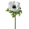 White Green