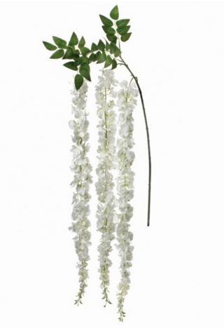 Grand Wisteria Branch