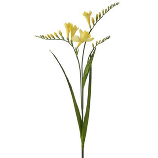 Just Cut Freesia Spray