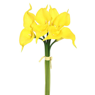 Yellow Calla Lilly